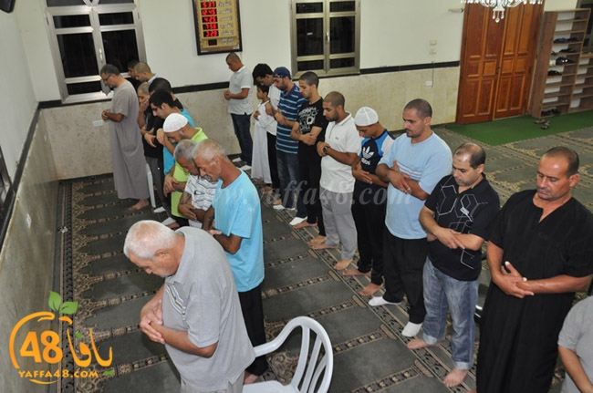 qader yaffa msajed (55).JPG